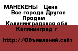 МАНЕКЕНЫ › Цена ­ 4 000 - Все города Другое » Продам   . Калининградская обл.,Калининград г.